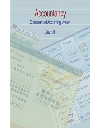 Computerised Accounting System (XII)