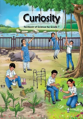 Curiosity (VII)